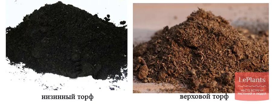 Торф верховой низовой. Верховой и низинный торф. Низинный вид торфа. Верховой торф низинный торф. Торф верховой и низинный разница.