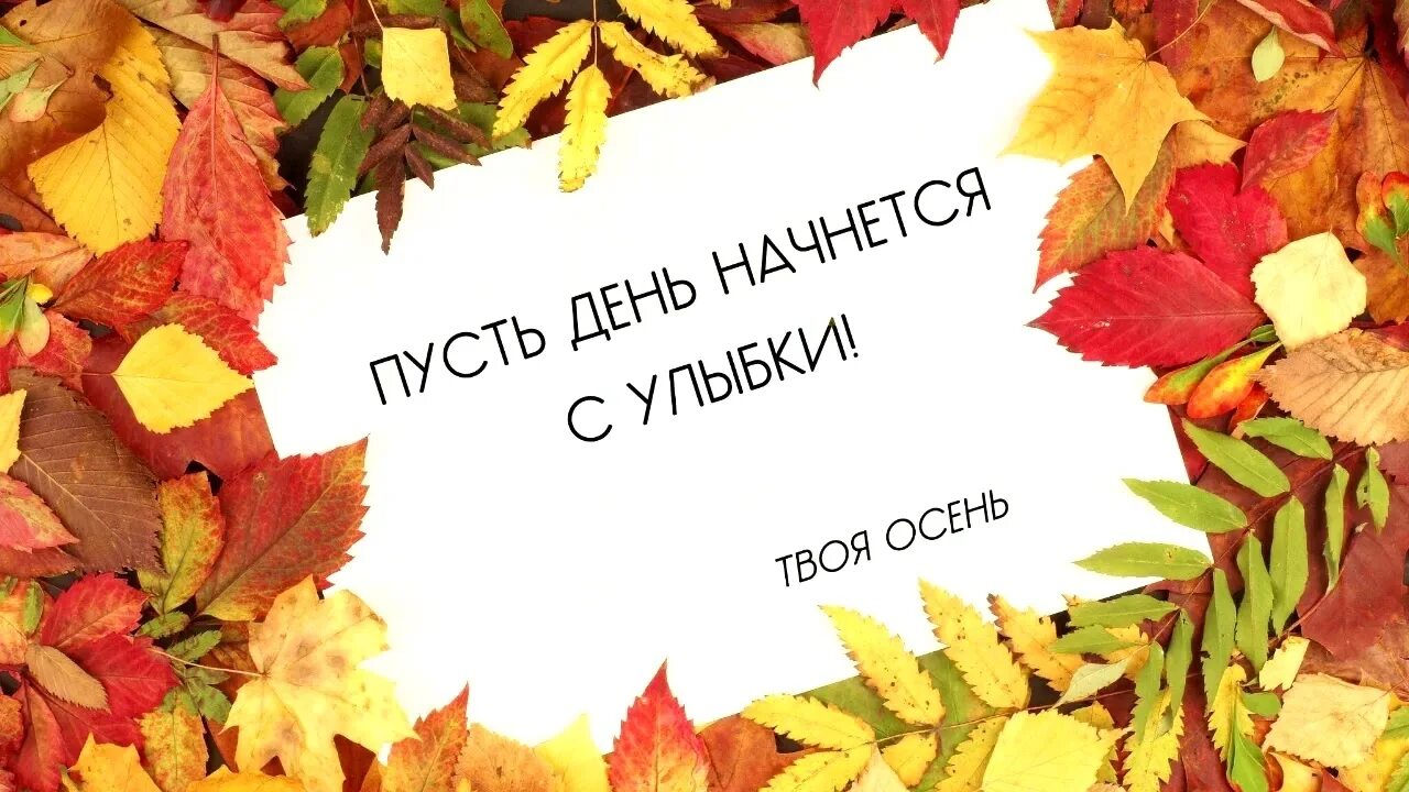 Пусть любовь начнется. Цитаты про осень. Осень цитаты красивые. Осенние цитаты. Осеннее настроение надпись.