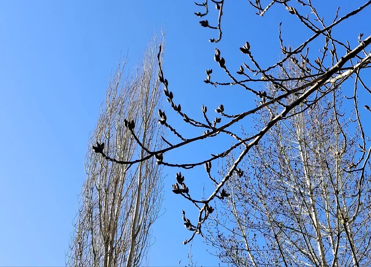 Переменная облачность без осадков. Ясный солнечный день. Солнечные лучи. Облачно без осадков. Переменная облачность.