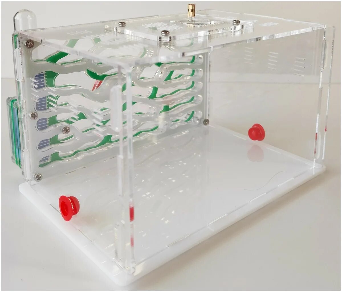 Муравьиная ферма формикарий. Муравьиная ферма ant farm 13х12см. Померин хаус муравьиная ферма май антс. Муравьиная ферма. Ant city.