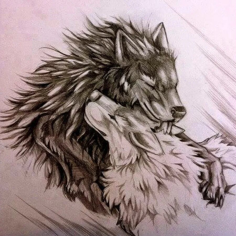 тату семья волков. тату два волка. тату два волка. тату волки семья эскиз. тату волк.