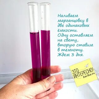 Опыты с марганцовкой