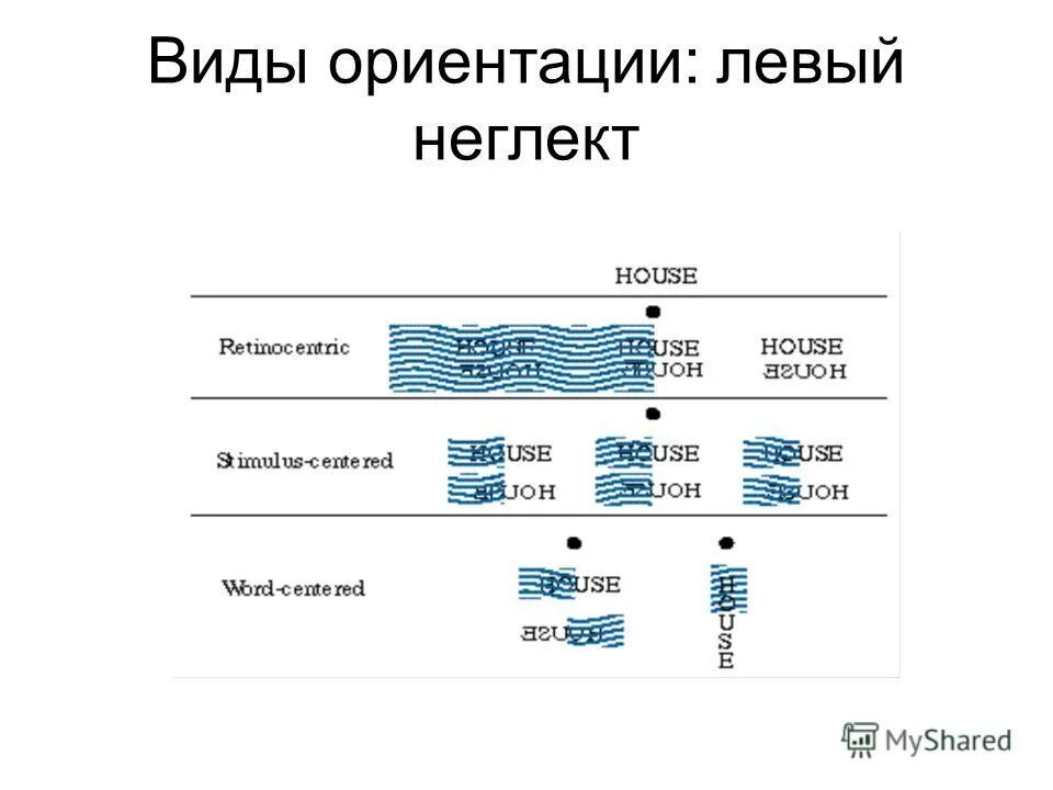 Типы ориентаций. Название ориентаций. Ориентации человека список. Типы ориентаций. Виды ориентаций.
