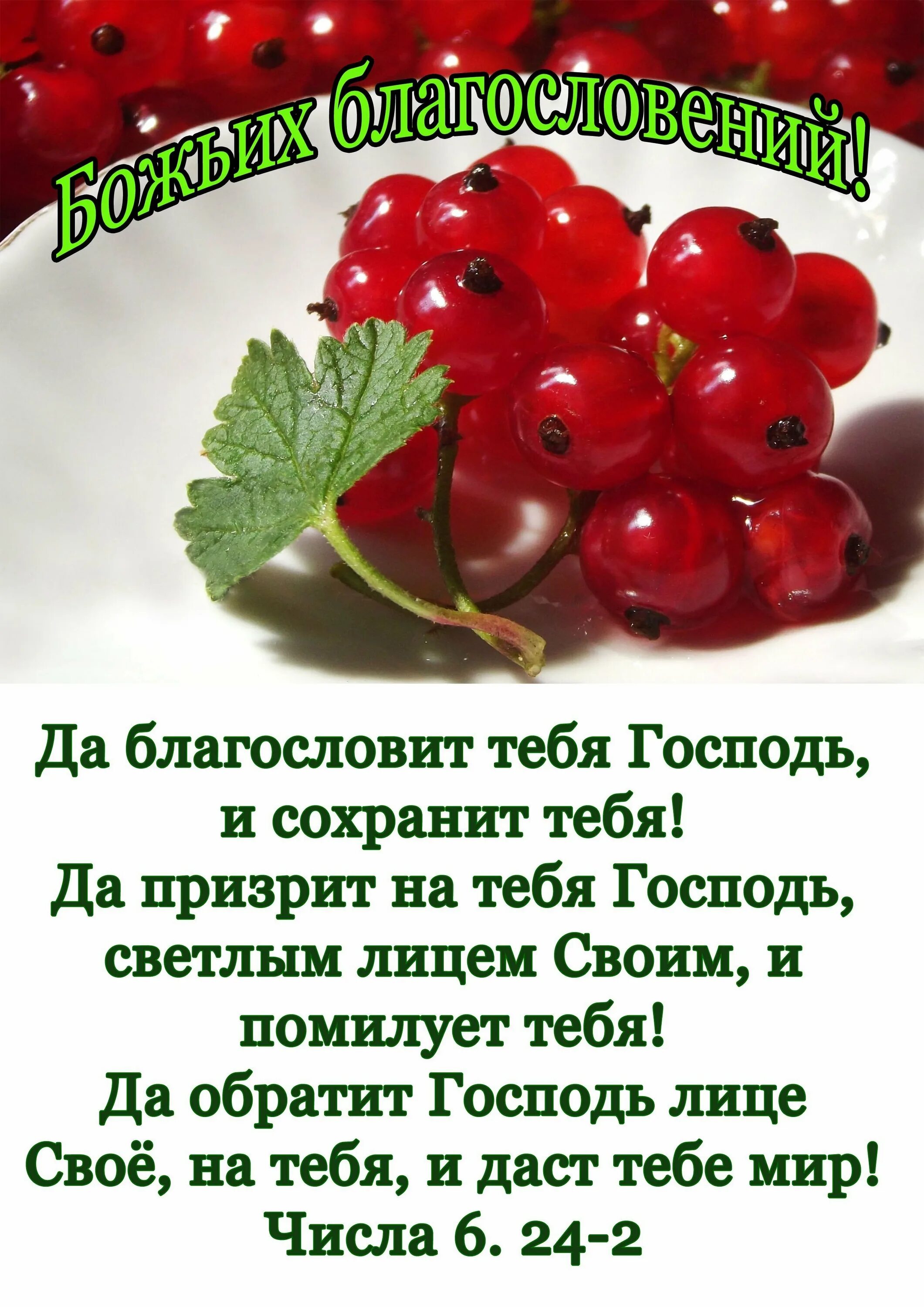 Добрые христианские пожелания. Открытки с божьим благословением. Открытка божьего благословения здоровья. Открытки с божьим благословением. Открытка божьего благословения здоровья.