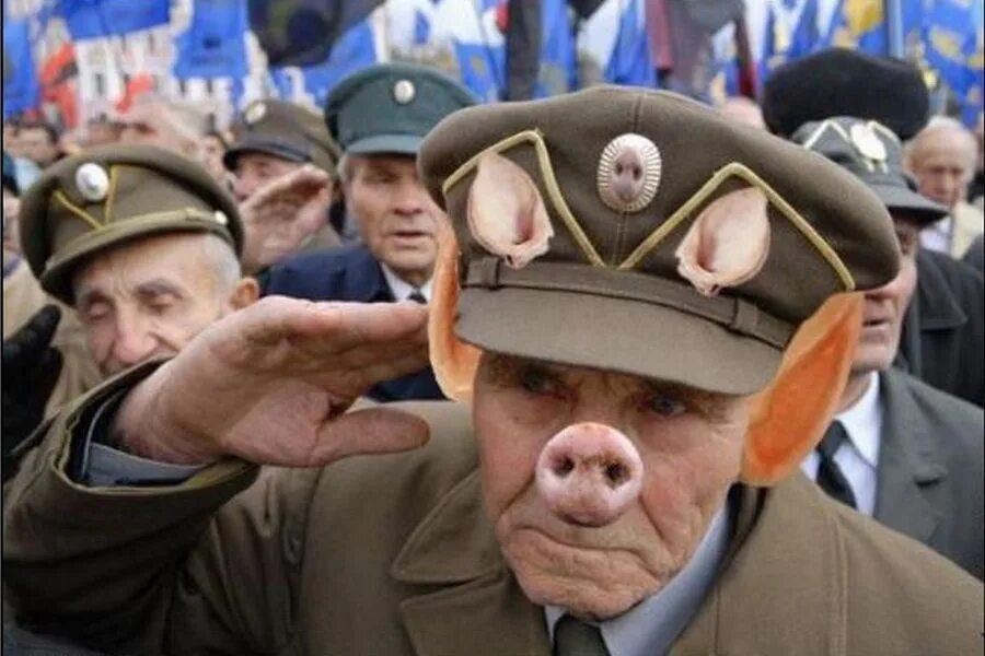 Свинособака немцы назвали. Свинособака немцы назвали. Свинособаки фуражка упа. Свинособаки фуражка упа. Головной убор бандеровцев.
