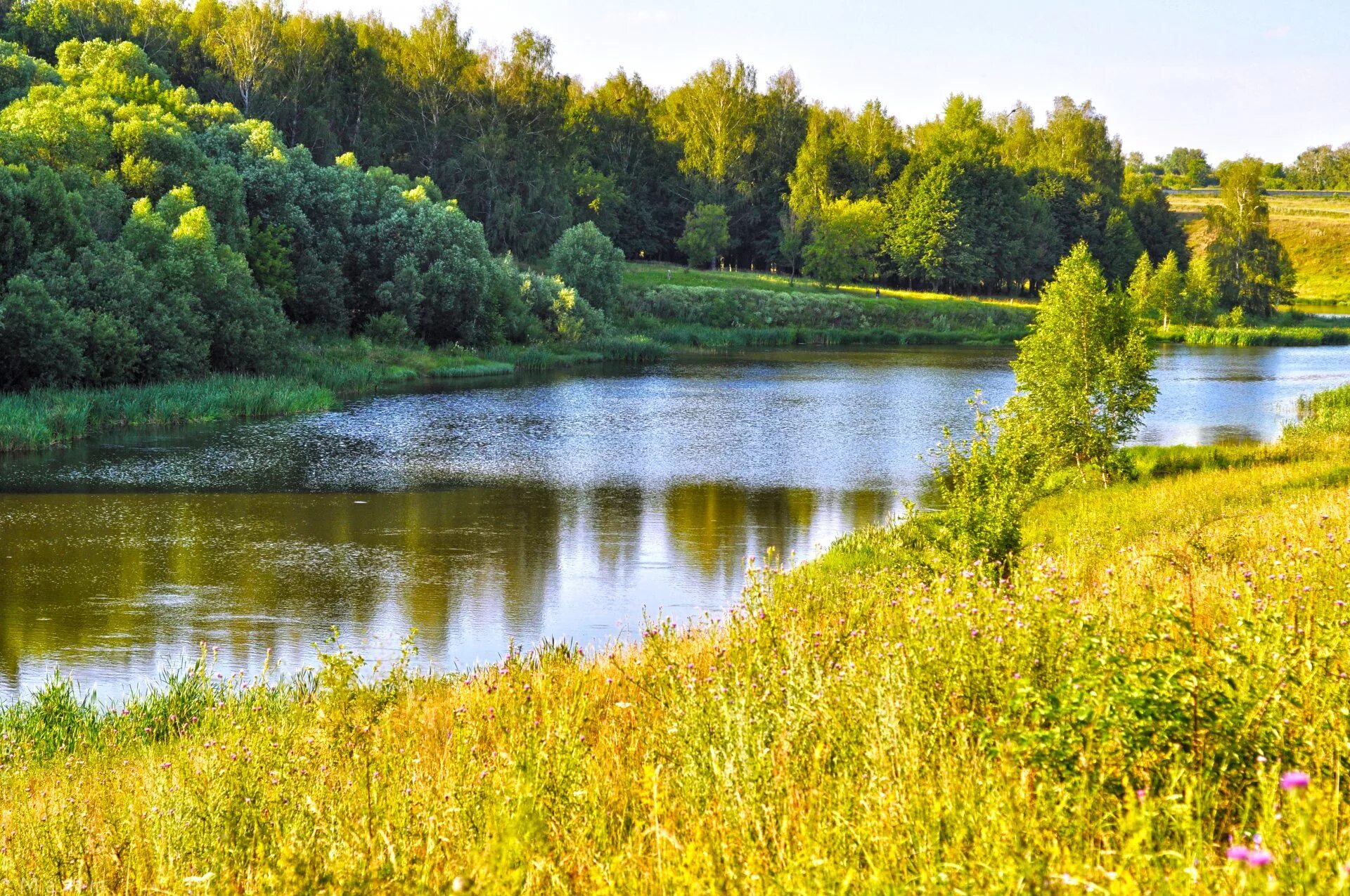 Русские летом на речке. Река Тулва. Природа Брянской области. Живописный берег реки Пахра. Летний пейзаж.