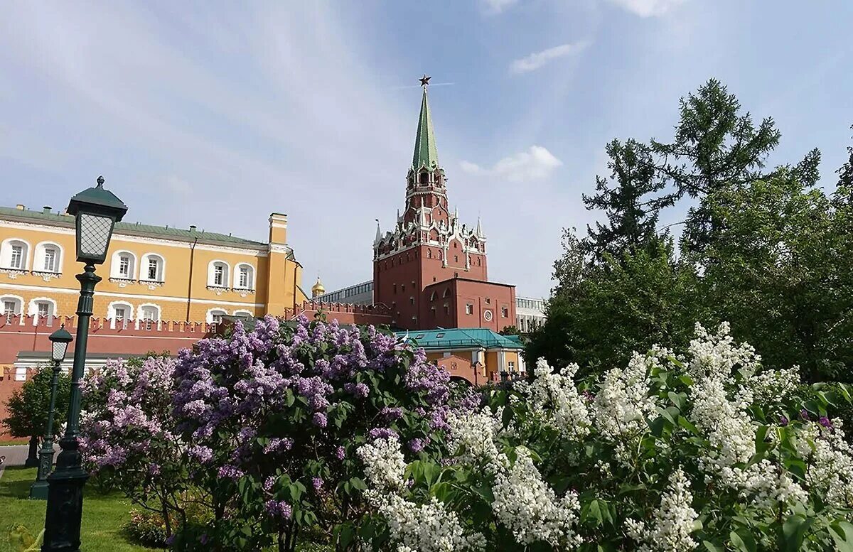 площадь весенняя. москва майская кремль. тюльпаны на красной площади. площадь весенняя. весенняя 3 междуреченск.