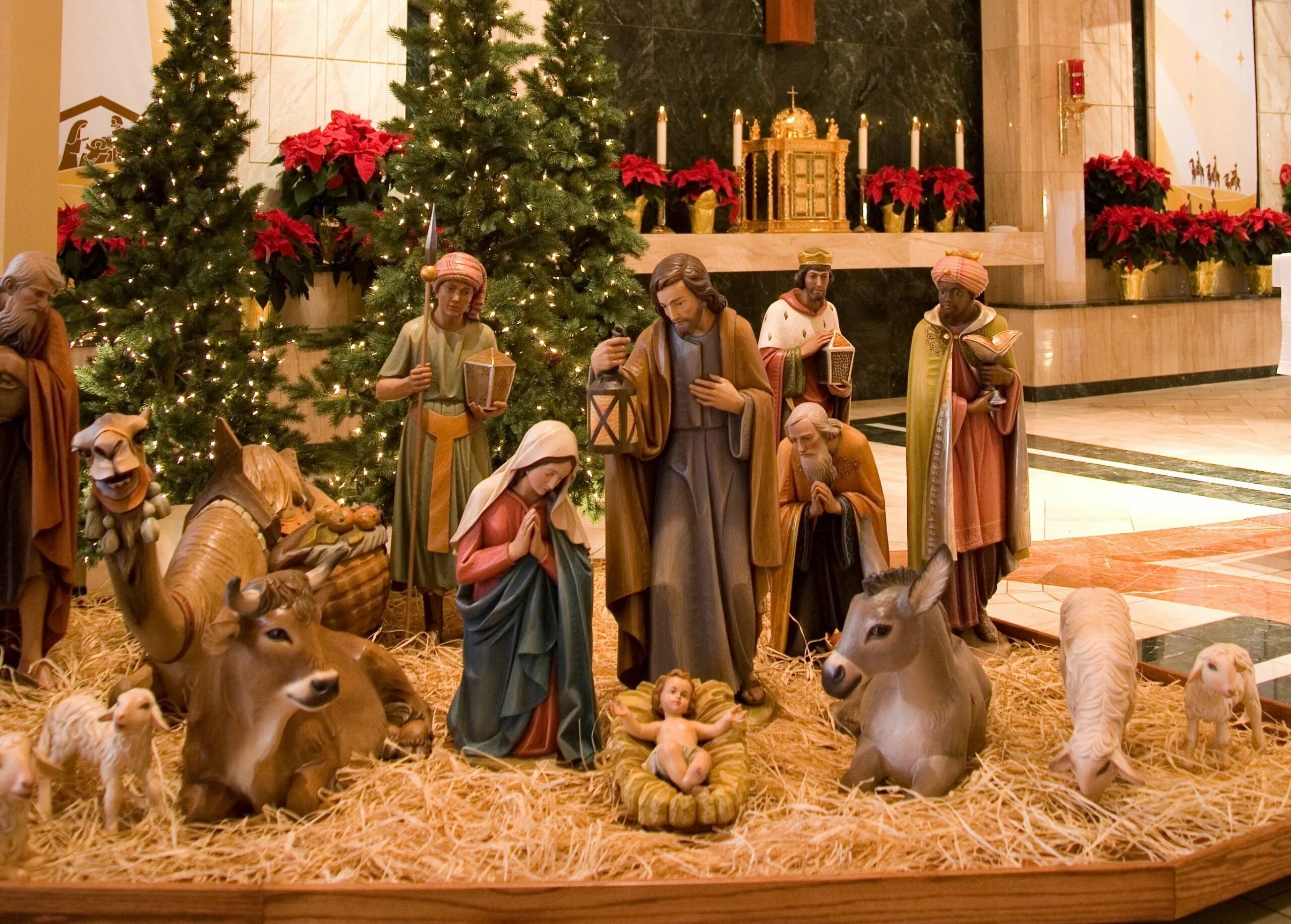 Какого празднуется рождество. Рождество христово (christmas day) — католицизм. с рождеством католическим. католическое рождеств.