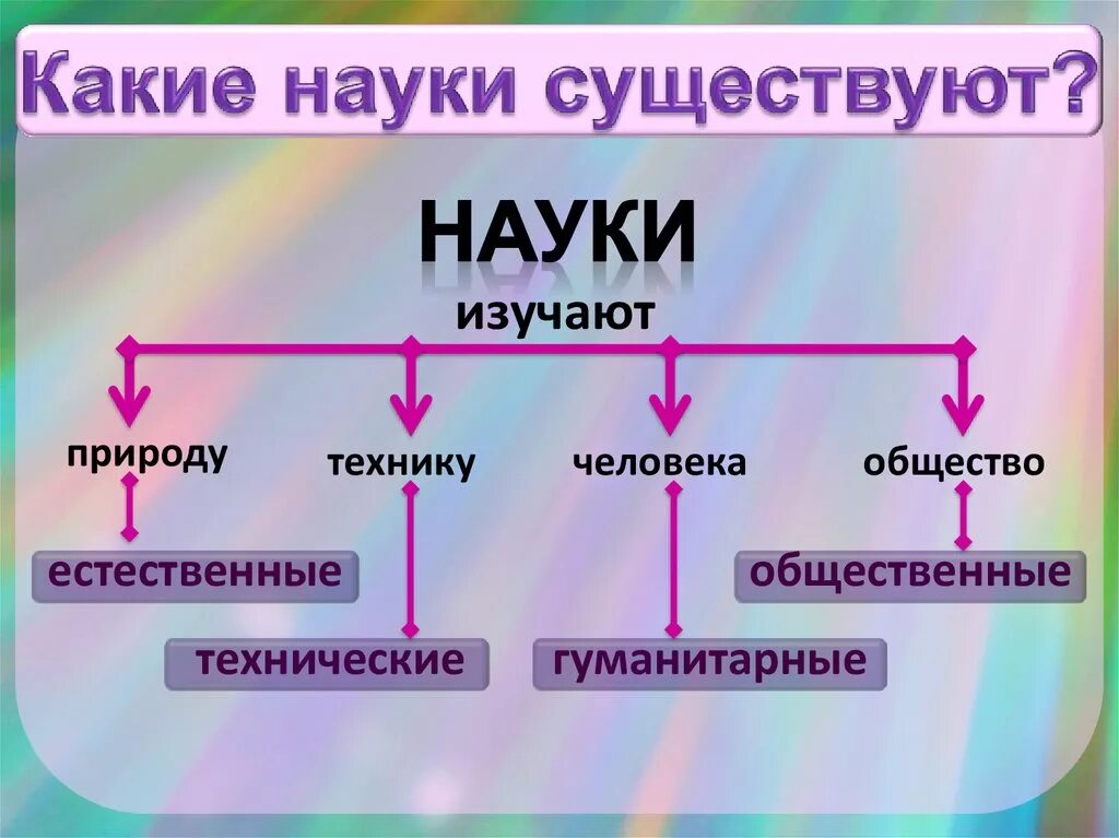 К каким наукам относится общество. Какие бывают науки. Виды наук. Какие виды наук существуют. Катке существуют науки.