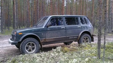 2131 видео