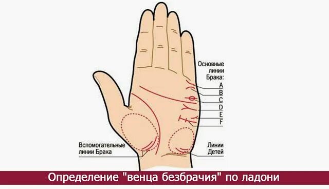 Сколько будет замужеств. Хиромантия Датировка линии брака. Венец безбрачия хиромантия. Линия безбрачия на руке. Линия на руке венца безбрачия.