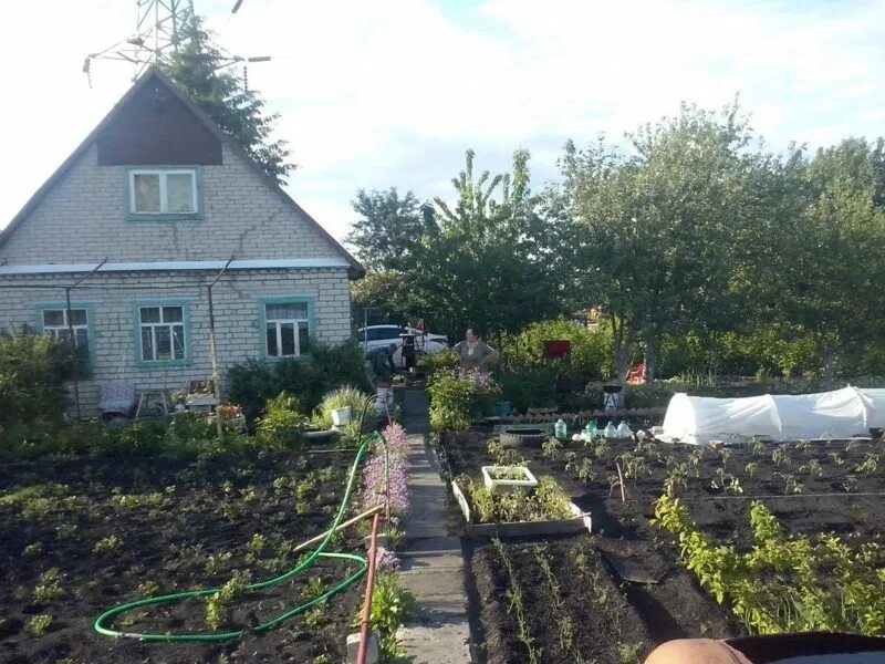 Октябрьское дачи. Дача снт гудок. дачи в пензе. дачи в пензе октябрьский район. дача, побочное г. пенза.