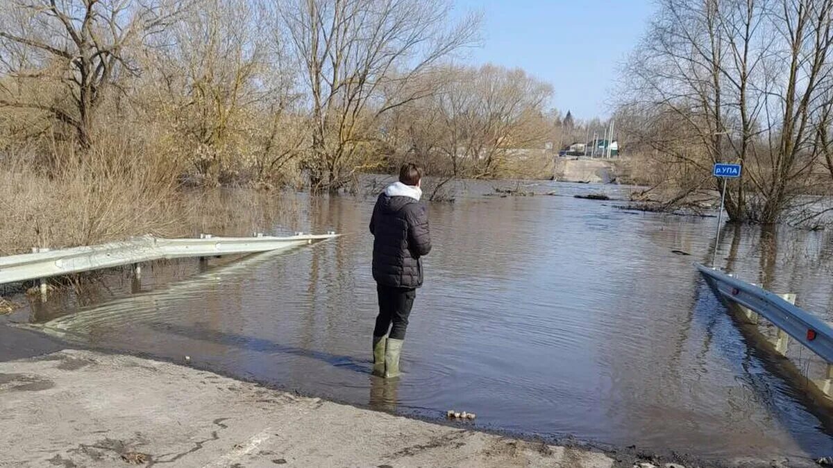 Половодье в тульской области 2024. Река УПА Одоев. Тула река УПА. Паводок в Щекинском районе Тульской. Половодье в Подмосковье.