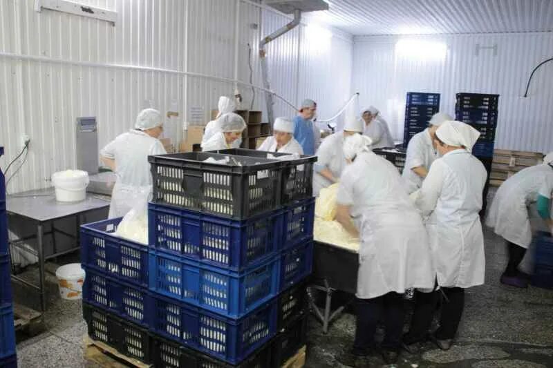 Молокозавод можайск. Можайский молочный комбинат продукция. Можайский молочный завод. Можайский молочный завод павлищево. Шаховской молочный завод.