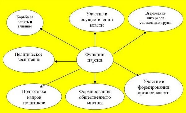 Используя текст укажите три функции