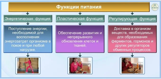 Пластическую функцию выполняют вещества