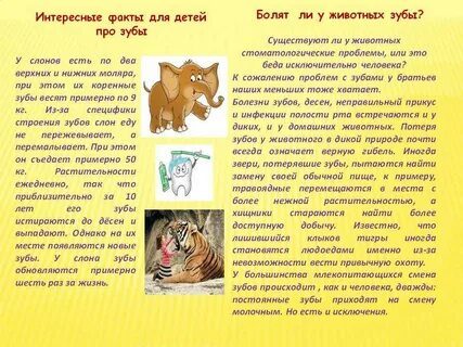 Интересные факты из жизни для детей