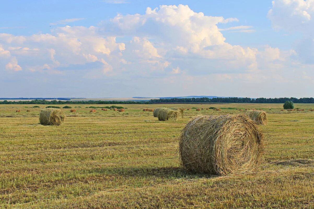 Рубленное село