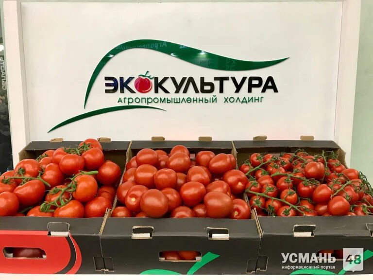 эко культура агрохолдинг логотип. эко культура агрохолдинг логотип. эко-культура ставропольский край марьинская. эко культура агрохолдинг логотип. апх экокультура.