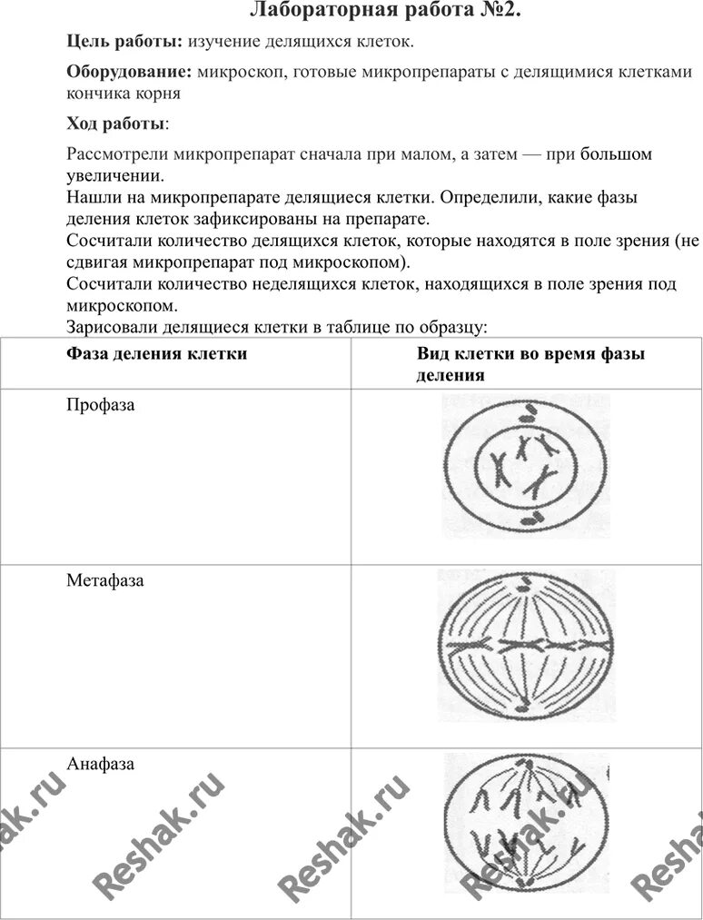 Лабораторная работа 3 выявление наследственных. Лабораторная работа по биологии 9. Лабораторная по биологии 9 класс многообразие клеток эукариот. Таблица по биологии лабораторные работы 9 класс. Практическая работа 3 по биологии 9 класс.