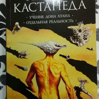 Кастанеда отдельная реальность