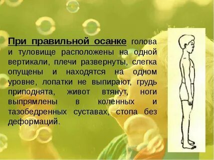 Сонник плечи