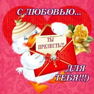 Прелесть любимый