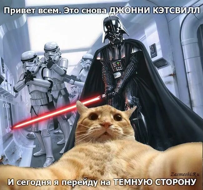 Переход на темную сторону. Джонни кэтсвилл мем. джонни кэтсвилл приколы. дарт вейдер темная сторона силы. переходи на темную сторону.