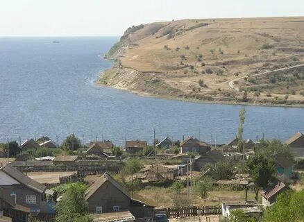 Пролейка волгоградская