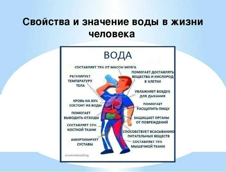 Роль воды в жизни человека. Значение воды для человека. Значимость воды в жизни человека. Важность воды в жизни человека для детей. Какую роль играет вода в жизни человека