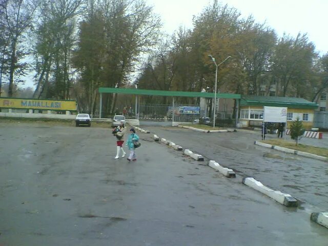 Лагерь самарканд. Лагерь родник черниговка. Дальняя дол. Горный лагерь евсеевка. Самарканд дальний лагерь.