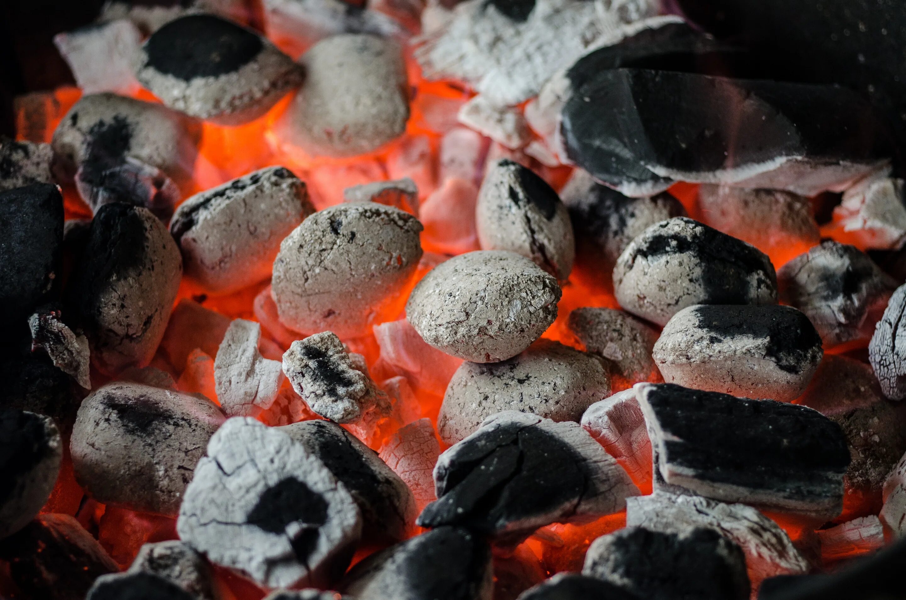 Swallow coals