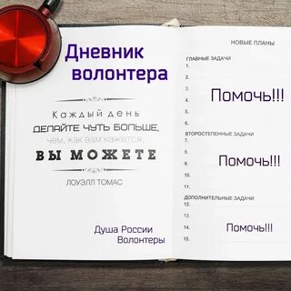 Дневник волонтера