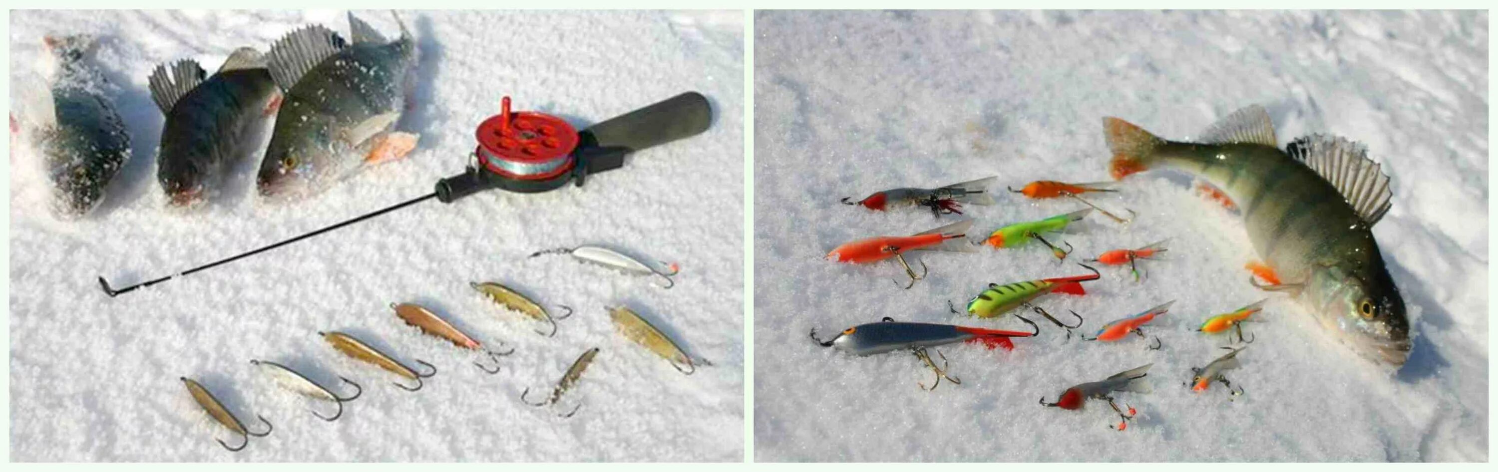 Зимняя рыбалка на судака. Судак на тюльку. Балансиры для зимней рыбалки на судака. Какую зимнюю удочку выбрать на судака. Блеснение судака.