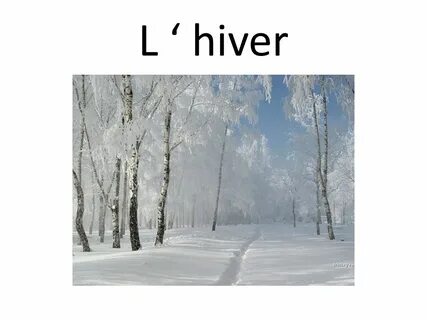 Лексика зима