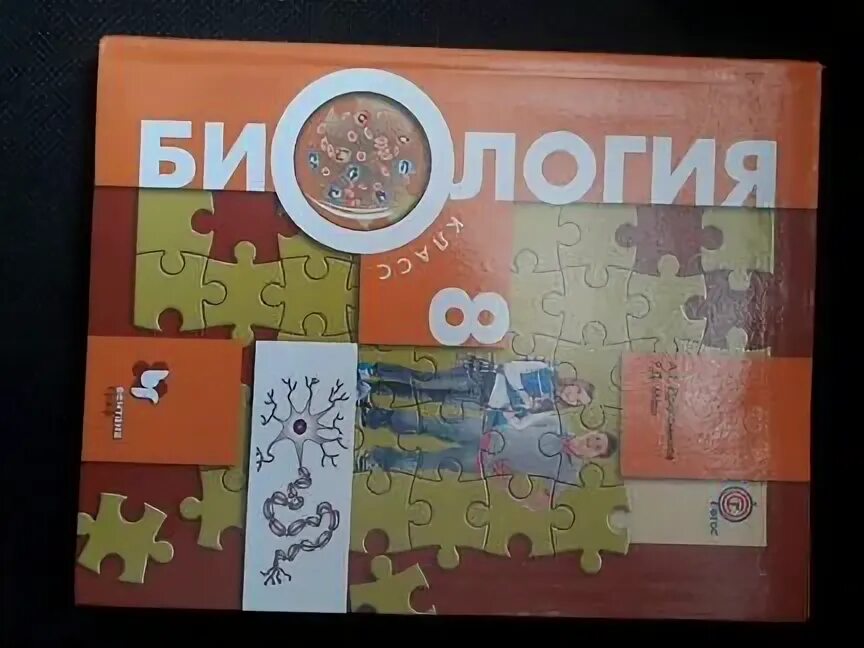 Биология 8 класс Бабенко. Учебник по биологии 8 класс Бабенко. Биологии за 8 класс драгомилов, маш ФГОС. Биология 8 класс константинов читать