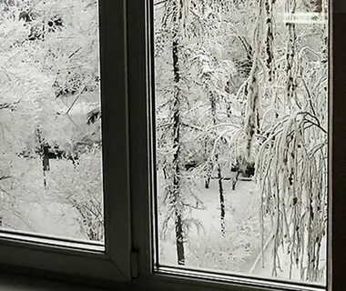 Ветка снег окно