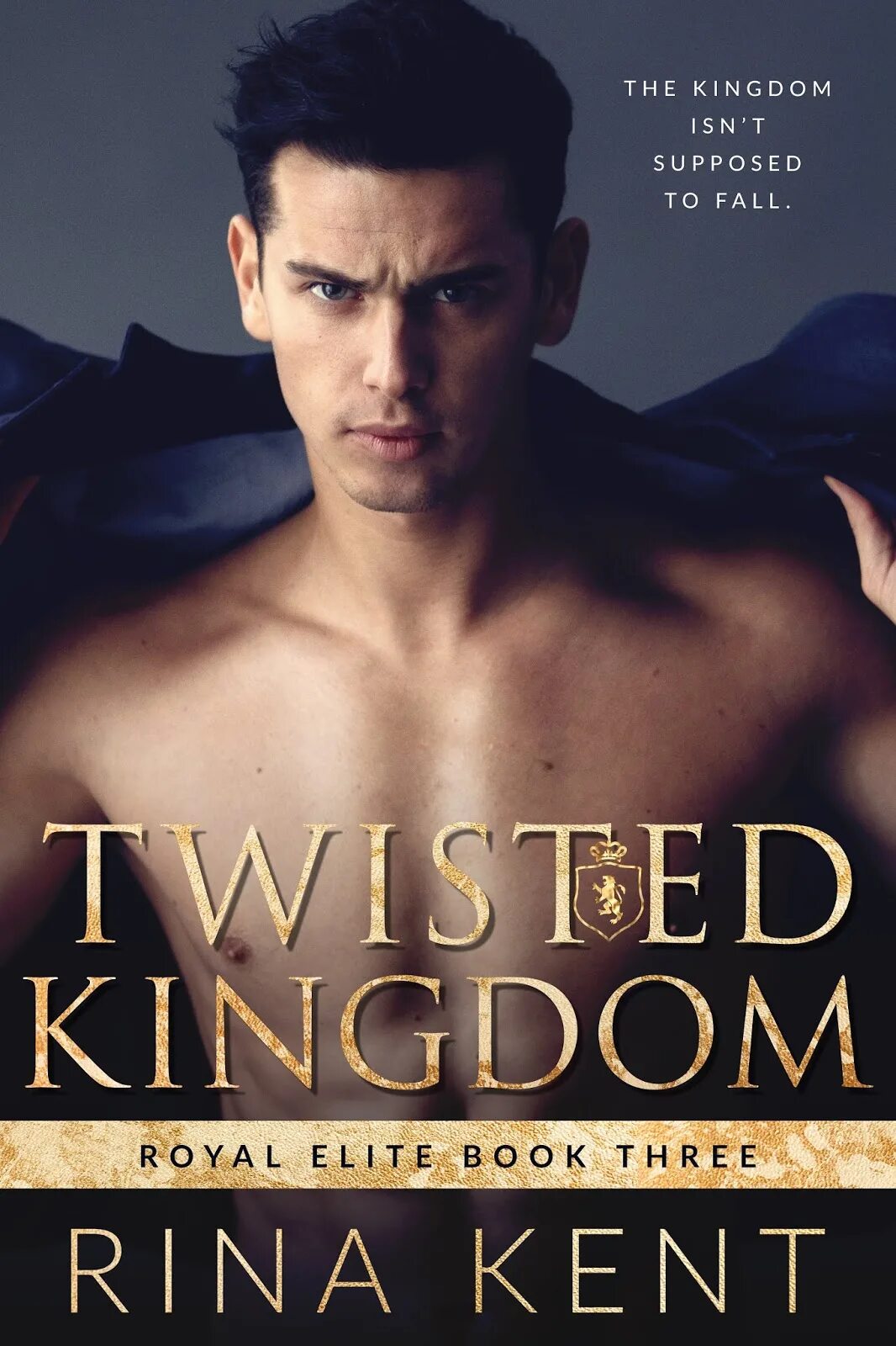 Twisted Kingdom (Royal Elite, #3) by Rina Kent.