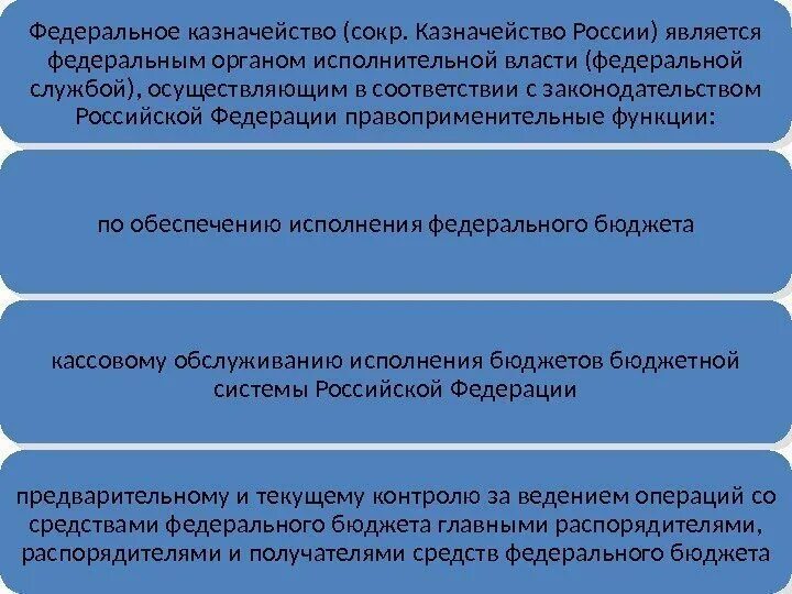 Федеральное казначейство функции и полномочия. Задачи федерального казначейства. Функции казначейства России. Казначейство функции и задачи. Субъекты федерального казначейства