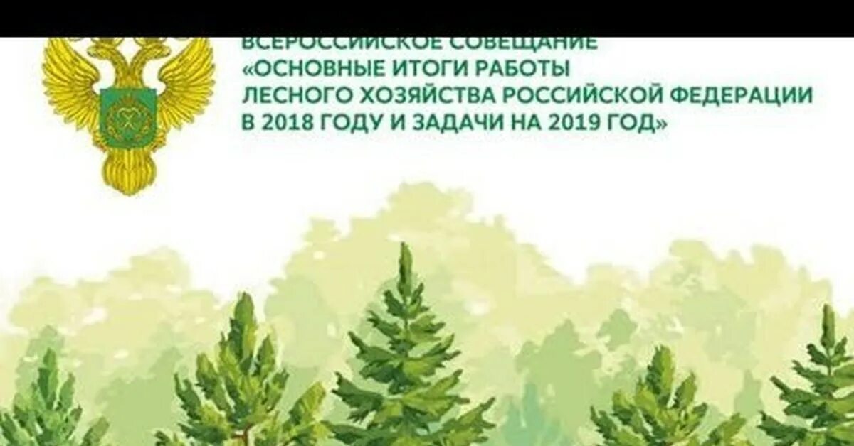 Федеральное агентство рослесхоз. Лесное хозяйство российской федерации. рослесхоз логотип. герб лесного хозяйства россии. баннер федеральное агентство лесного хозяйства.
