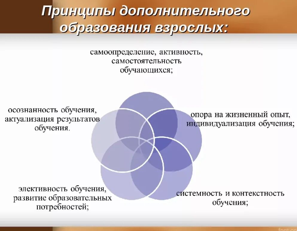 Нужно дополнительное обучение. Дополнительное образование взрослых. Принципы дополнительного образования. Принципы дополнительного образования детей. Виды дополнительного образования.