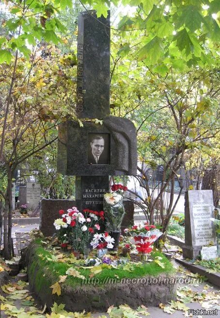 Шукшин новодевичье кладбище. Могила василия шукшина. Могила василия шукшина. Шукшин могила на новодевичьем кладбище. Шукшин новодевичье кладбище.