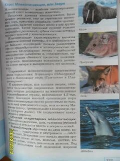 Биология 8 класс сонин с дельфином