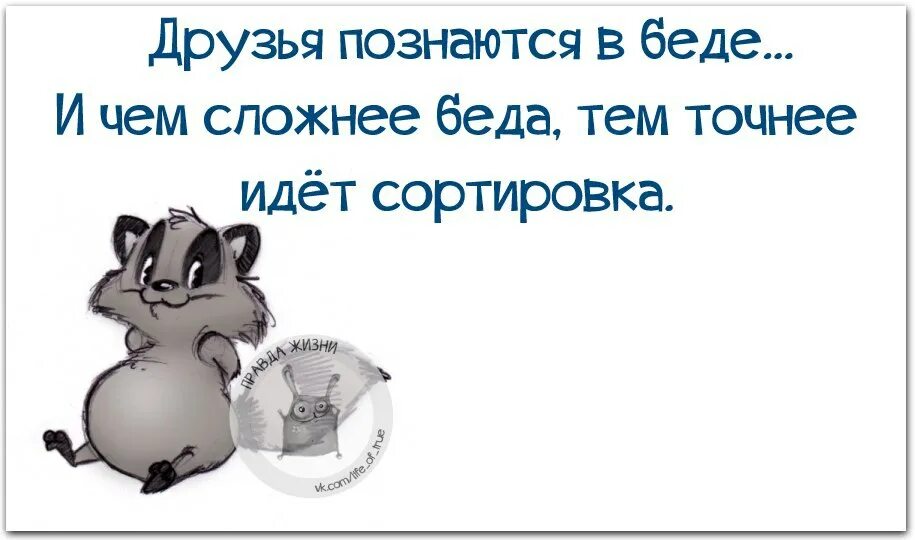 Человек познается в беде. Почему друг познается в беде. Позы друзей. Друзя позноются в беде. Картинки на тему друзья познаются в беде.