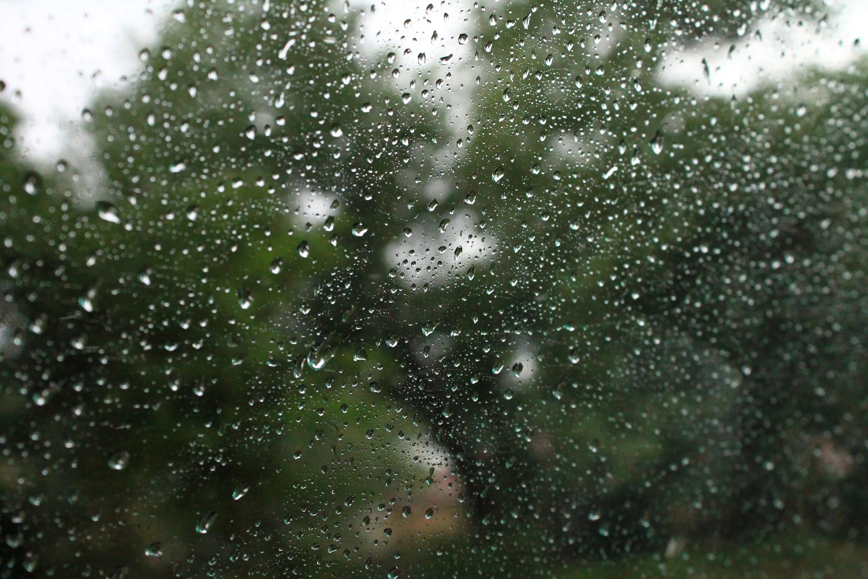 Капли дождя падают на землю. Падающий дождь. Капли на окне от дождя. Замороженный дождь.