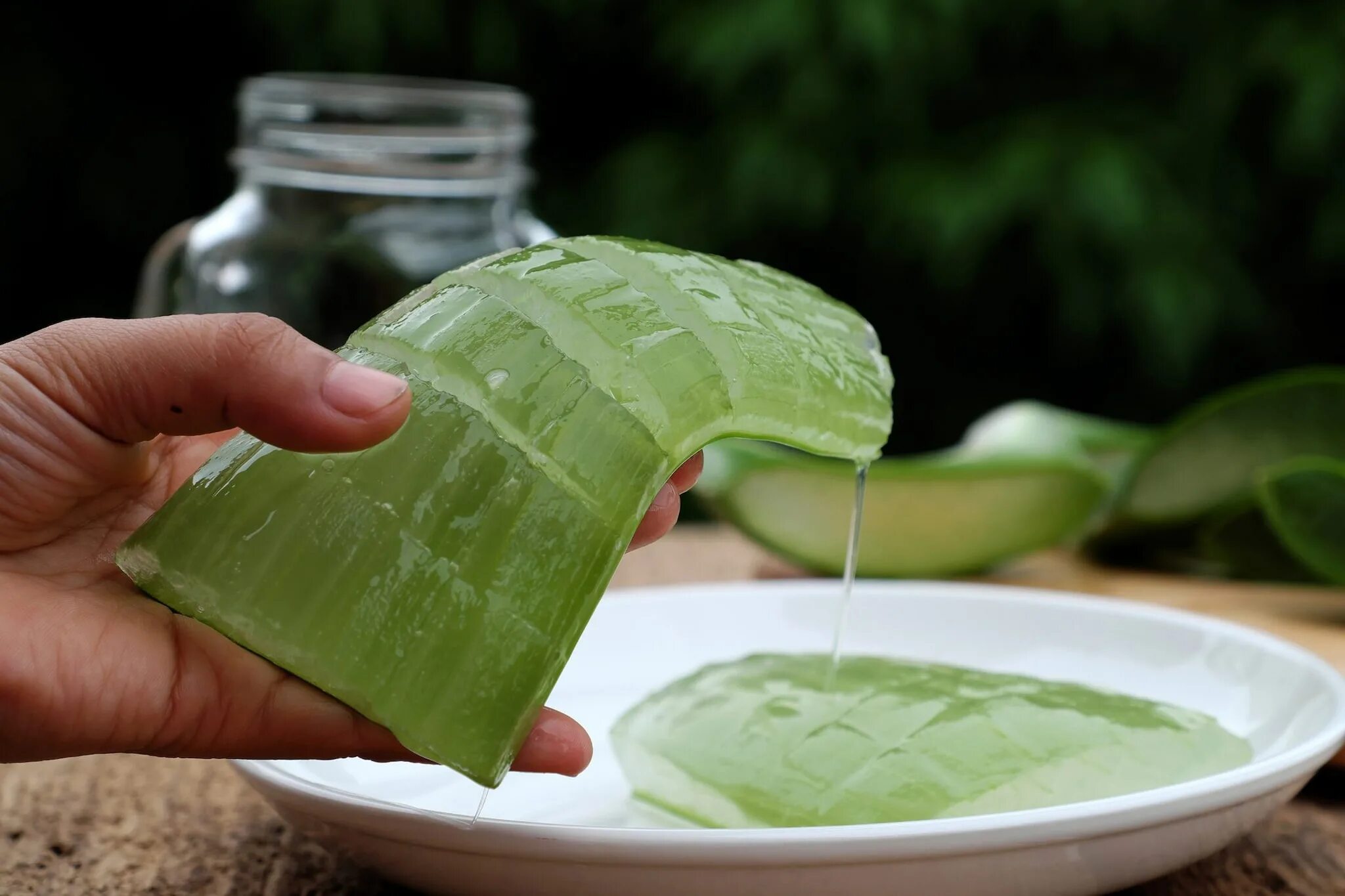 Как сохранить сок алоэ. 9. Aloe Vera. Сок листьев алоэ.