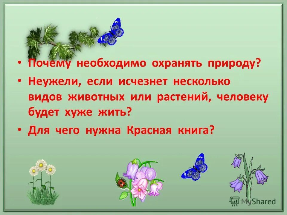 Растения необходимо охранять так как они. Растения необходимо охранять так как они