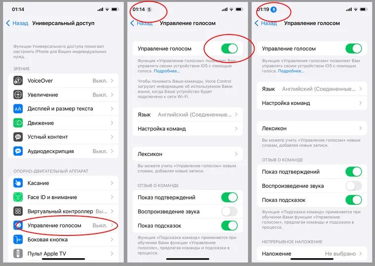 как настроить камеру на айфоне. как настроить качество фото на iphone. как настроить камеру на айфон 11 в настройках. как настроить переднюю камеру на айфоне. как настроить камеру на айфоне.