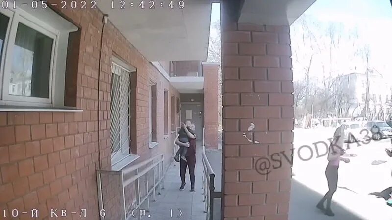 Сводка шелехов. Сводка шелехов