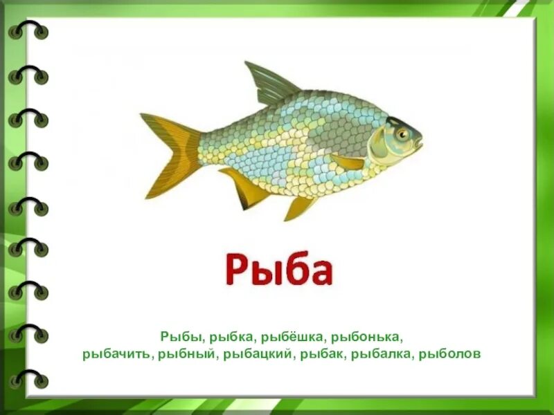 Словосочетание с словом рыба. Слово рыба. Родственные слова к слову рыба. Рыба однокоренные слова. Рыбка родственные слова.